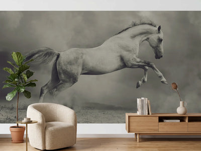 photo-wallpaper-leaping-horse-dust