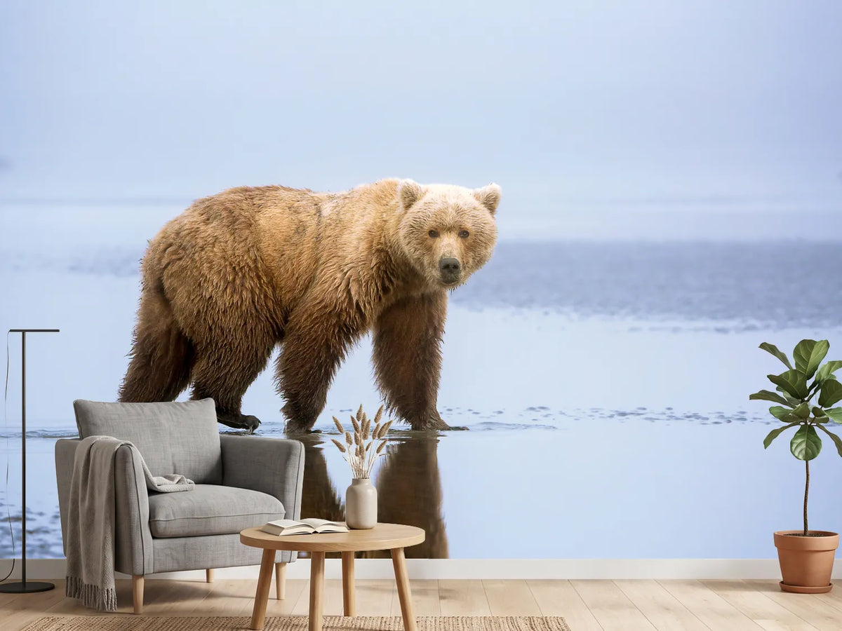 photo-wallpaper-the-bear-walk-x