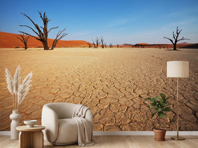 photo-wallpaper-desert