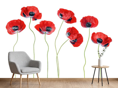 photo-wallpaper-ladybird-poppies