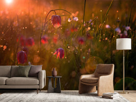 photo-wallpaper-potpourri-x
