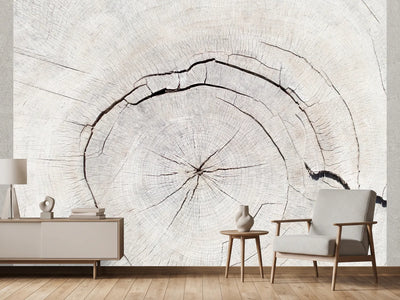 photo-wallpaper-light-wood-grain-texture
