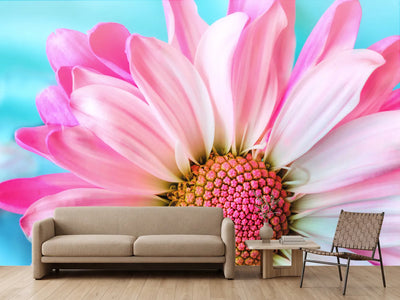 photo-wallpaper-colored-flower