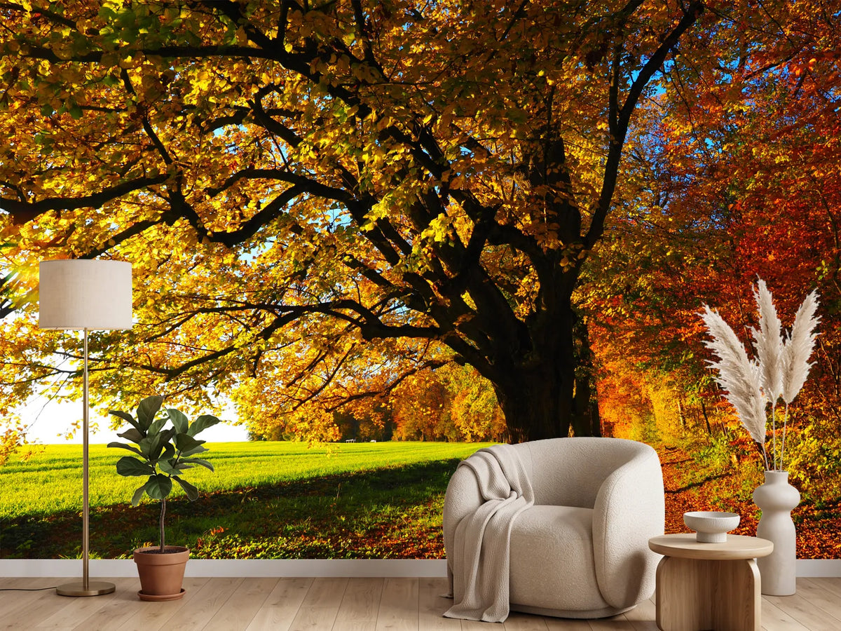 photo-wallpaper-trees-in-the-autumn
