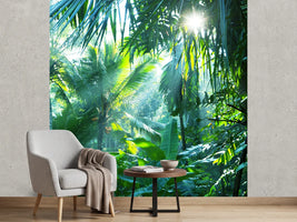 photo-wallpaper-in-tropical-forest