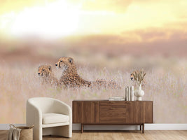 photo-wallpaper-cheetah-family-x
