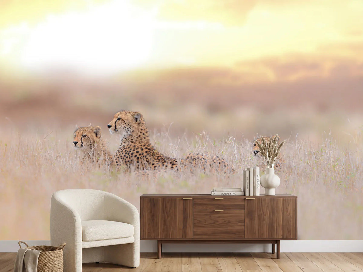 photo-wallpaper-cheetah-family-x