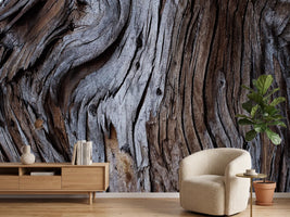 photo-wallpaper-weathered-wood-detail