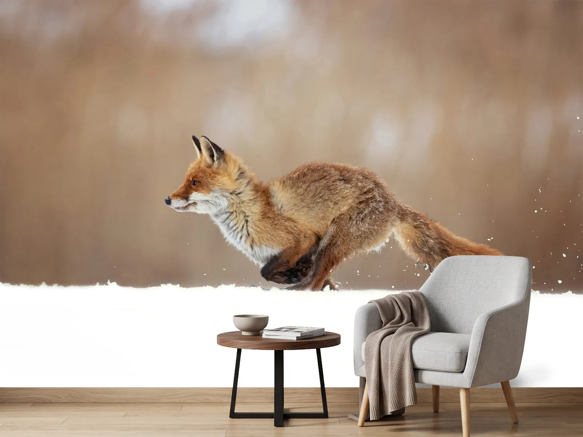 photo-wallpaper-red-fox-xmv