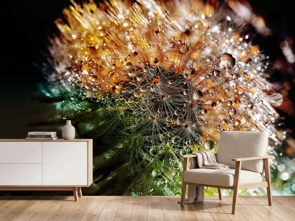 photo-wallpaper-dandelion-in-the-morning-dew