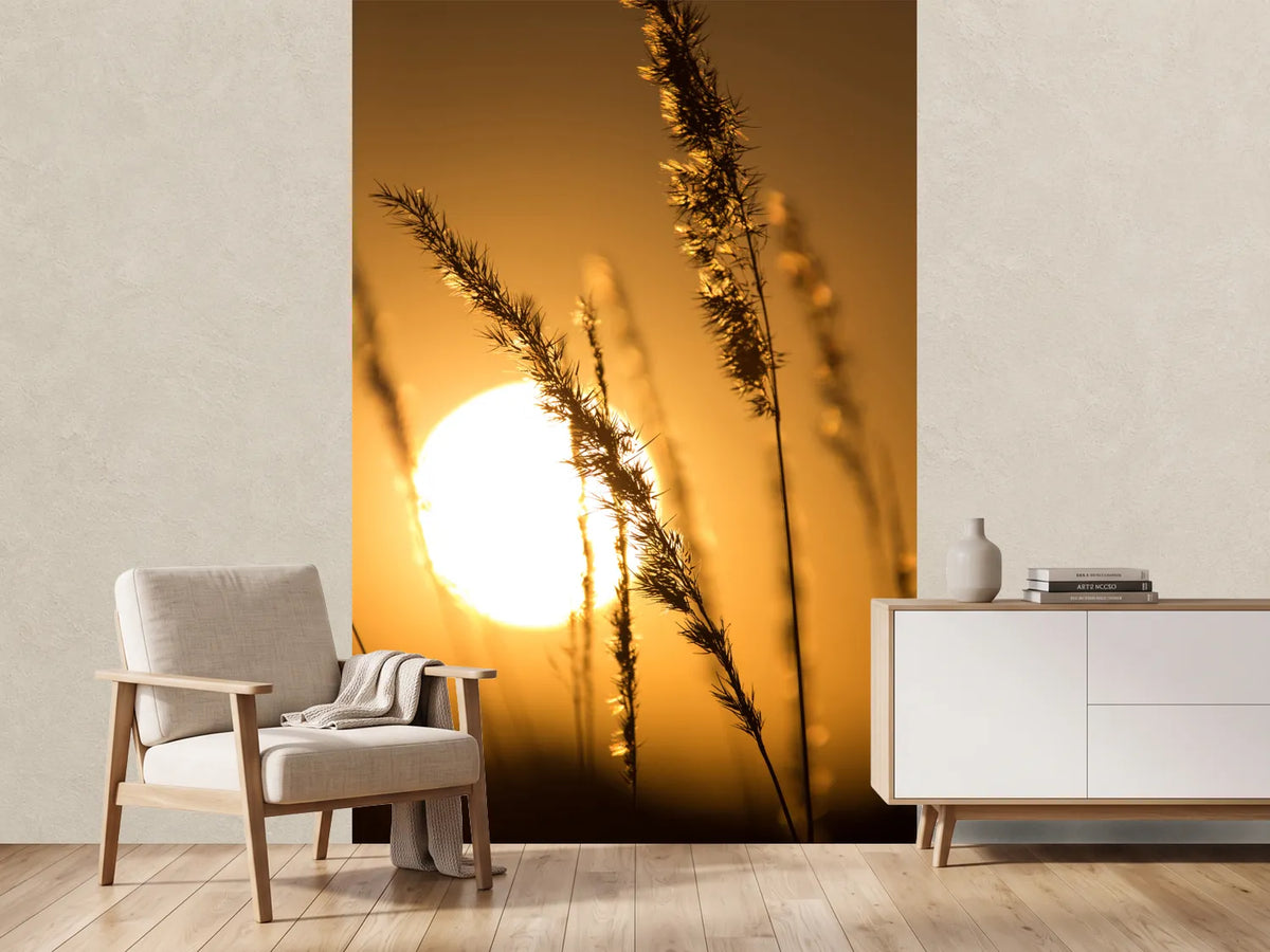 photo-wallpaper-romantic-sunset