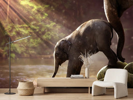 photo-wallpaper-the-elephant-baby