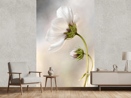 photo-wallpaper-heavenly-cosmos