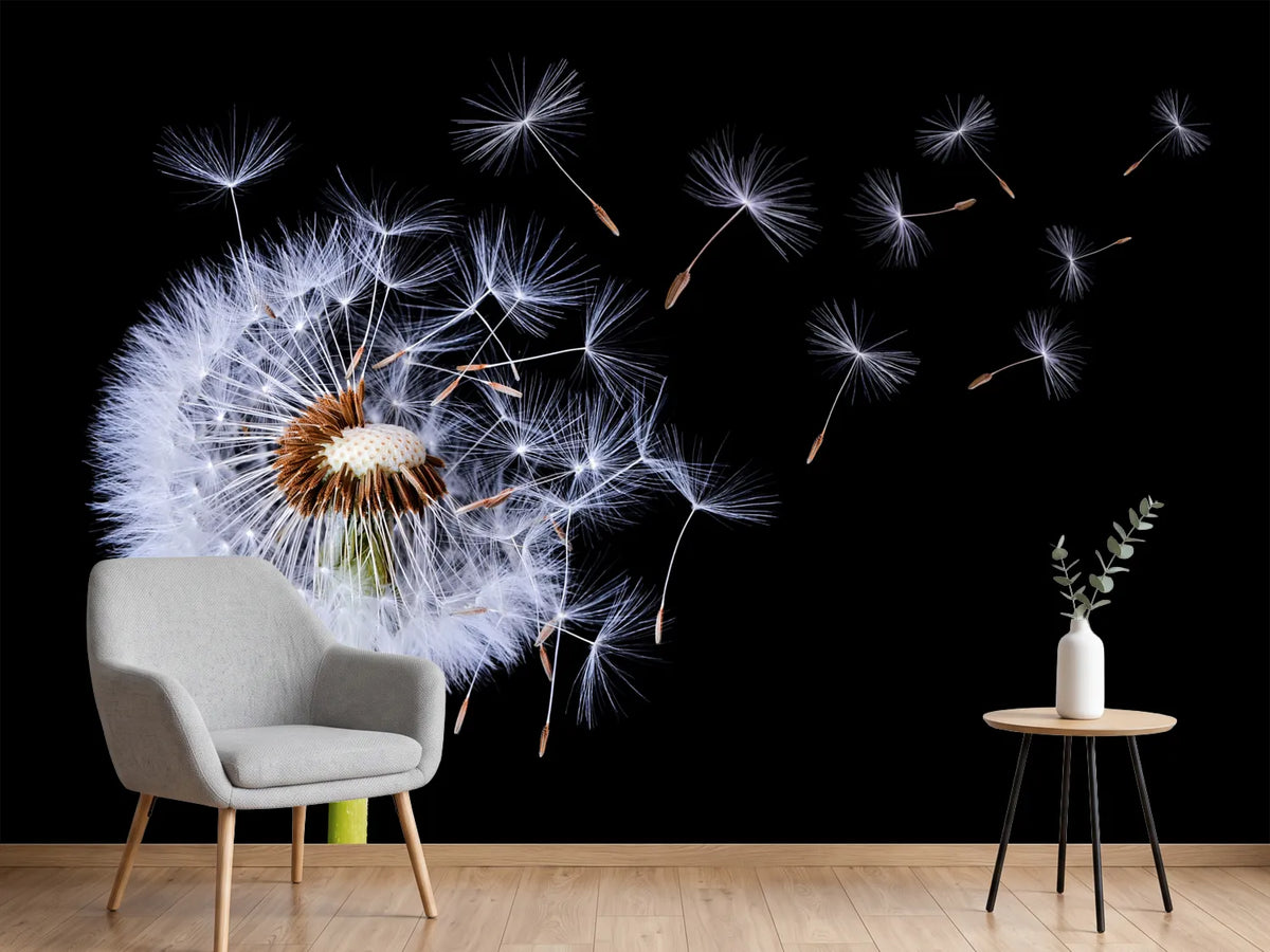 photo-wallpaper-dandelion-blowing