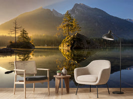 photo-wallpaper-golden-morning-x