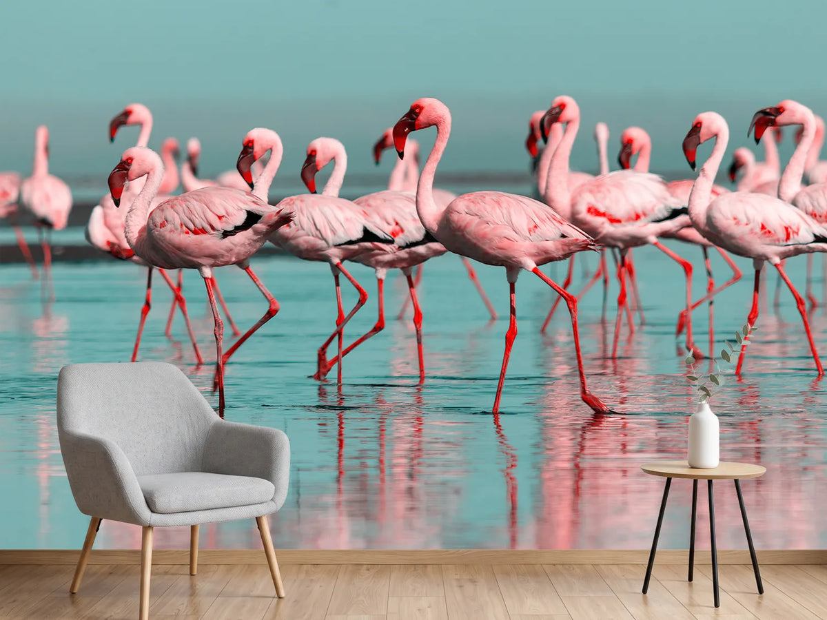 photo-wallpaper-flamingo-flock-wading-through-turquoise-shallows-with-mirrored-reflections