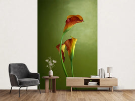 photo-wallpaper-3-callas