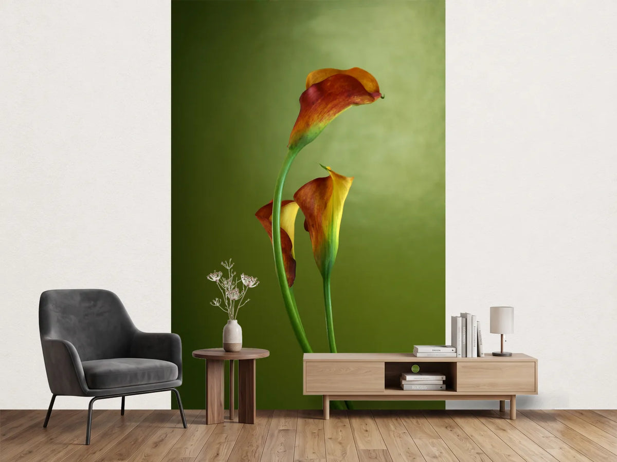 photo-wallpaper-3-callas