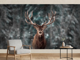 photo-wallpaper-majestic-winter-stag