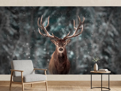 photo-wallpaper-majestic-winter-stag