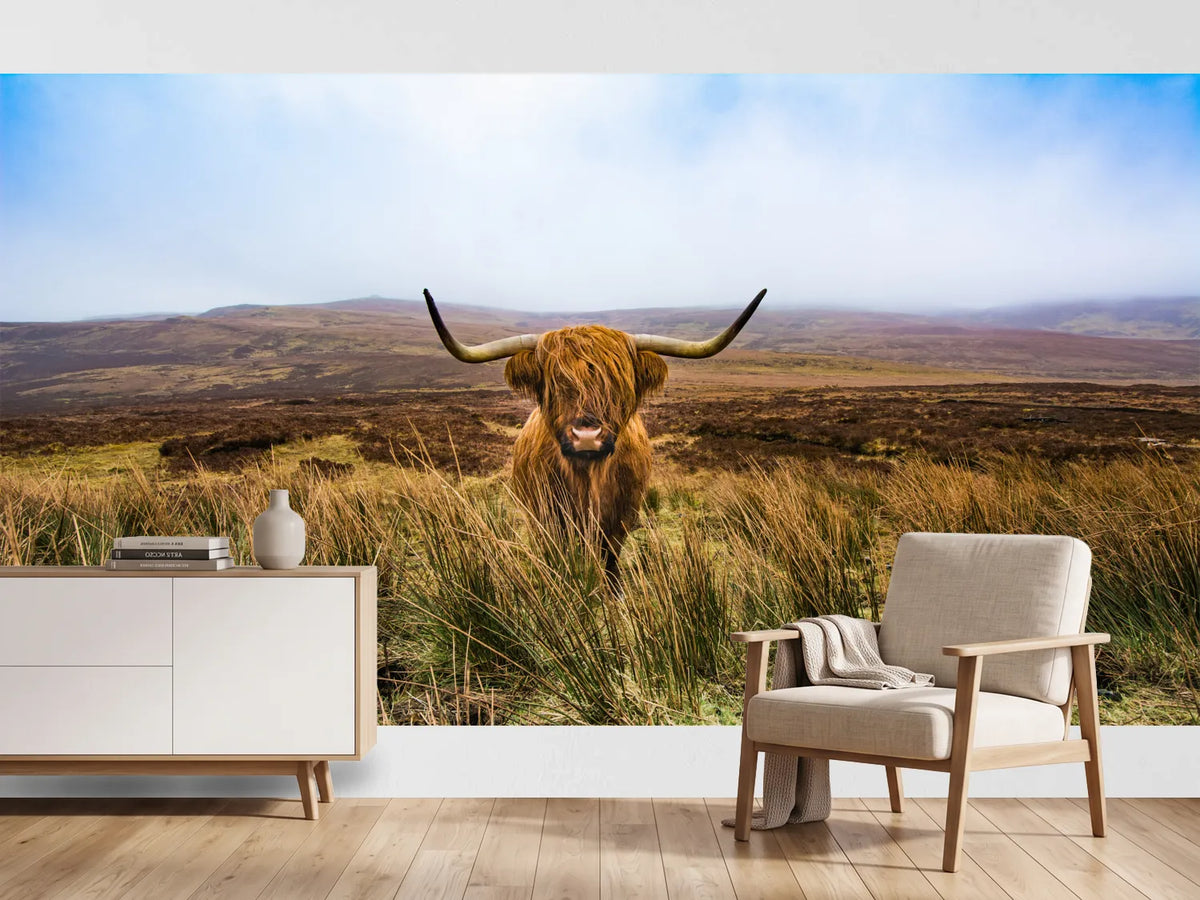 photo-wallpaper-highland-cattle