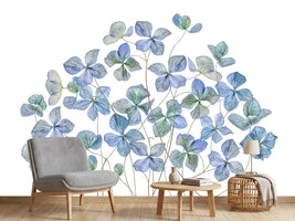 photo-wallpaper-hydrangea-xmy