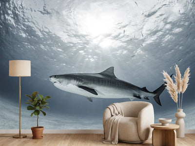 photo-wallpaper-tiger-rays-x