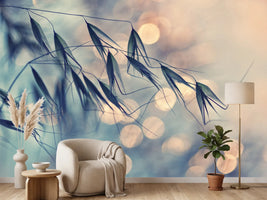 photo-wallpaper-straws