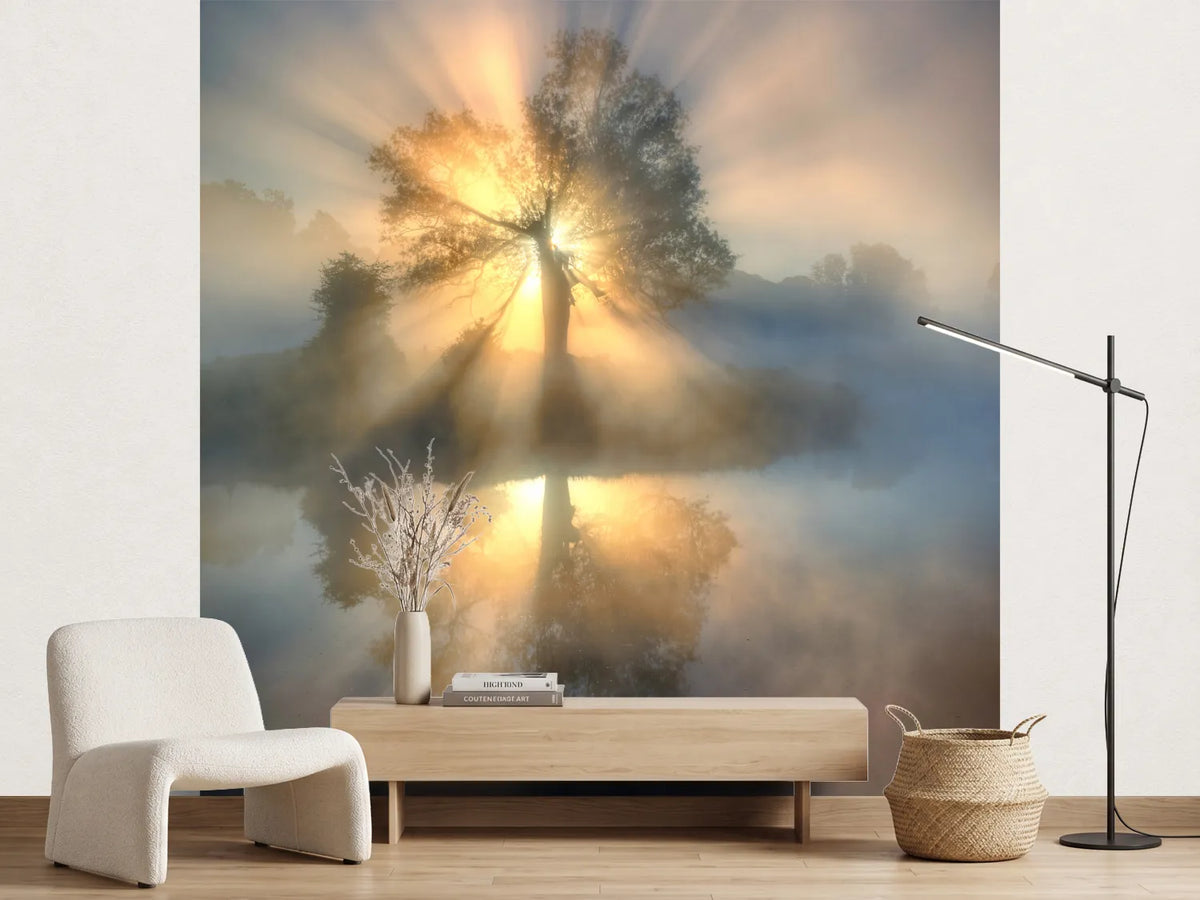 photo-wallpaper-tree-of-light-x