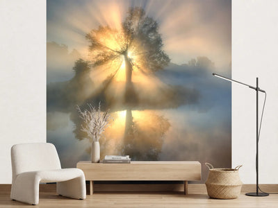 photo-wallpaper-tree-of-light-x