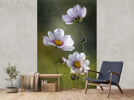 photo-wallpaper-cosmos-ii