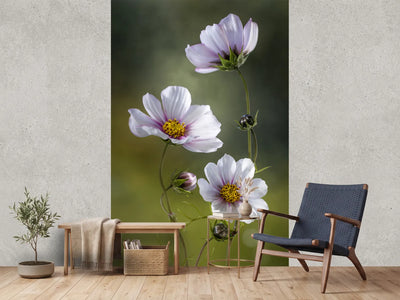 photo-wallpaper-cosmos-ii
