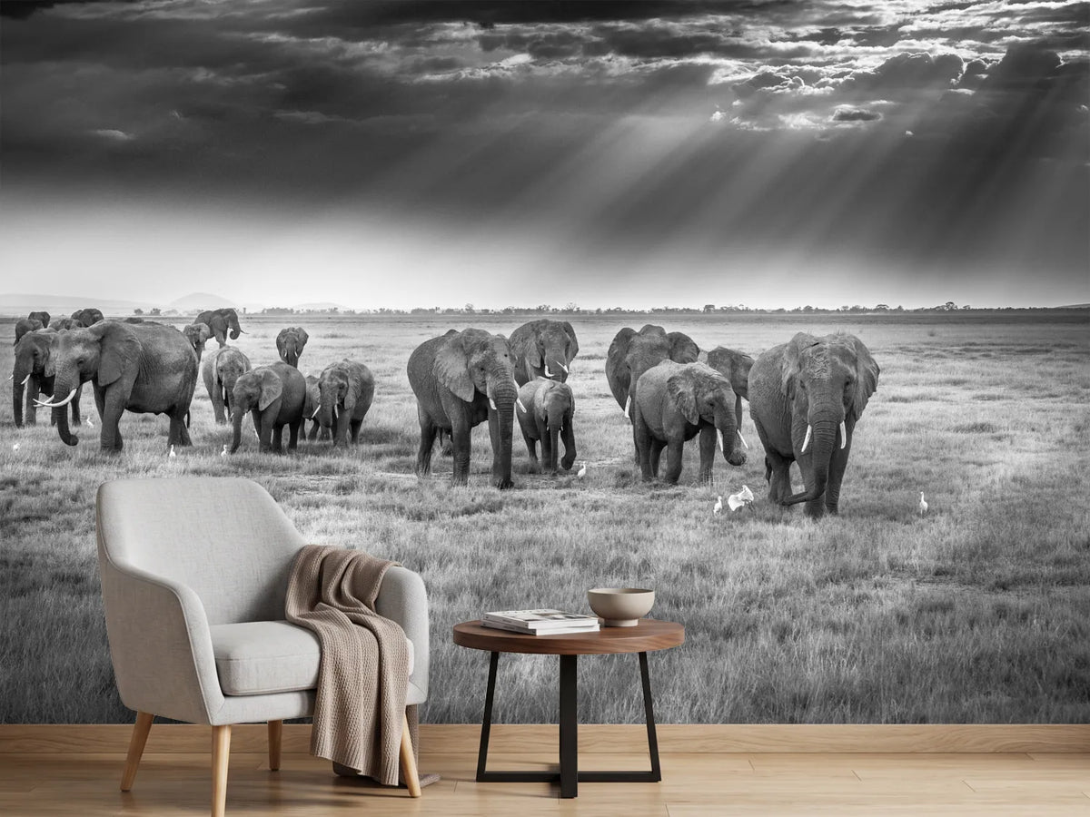 photo-wallpaper-breakfast-with-pachyderms-x