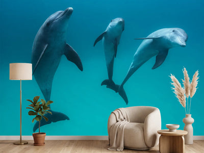 photo-wallpaper-bottlenose-dolphins-ii