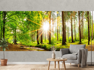 photo-wallpaper-beautiful-forest-panorama-in-spring-with-bright-sun-shining-through-the-trees