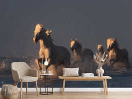 photo-wallpaper-horses-in-sunset-light-x