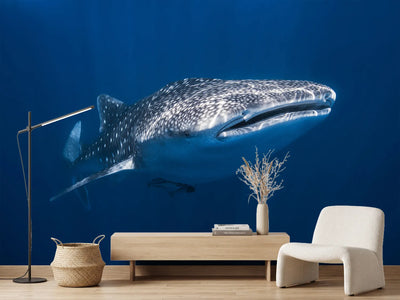 photo-wallpaper-whale-shark