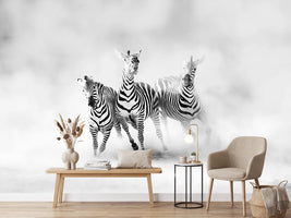 photo-wallpaper-zebras