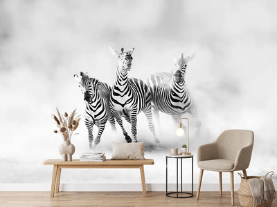 photo-wallpaper-zebras