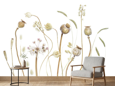 photo-wallpaper-pods-x