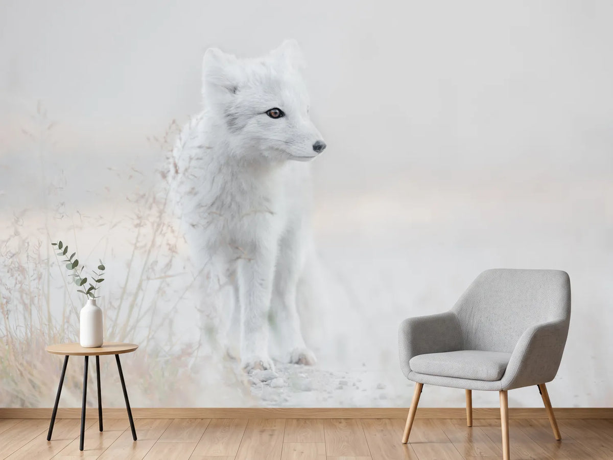 photo-wallpaper-looking-around