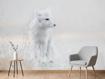 photo-wallpaper-looking-around