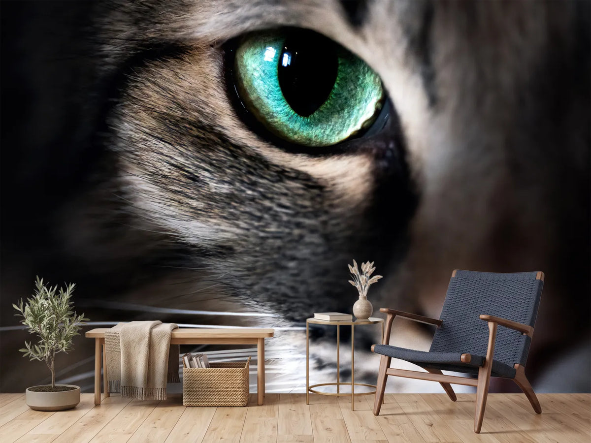 photo-wallpaper-cat-eye-macro-closeup-animal