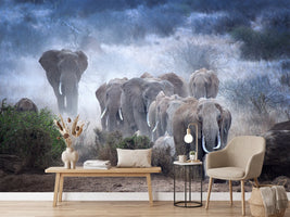 photo-wallpaper-elephants-of-amboseli-x