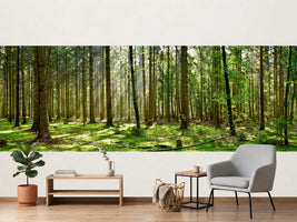 photo-wallpaper-beautiful-forest-with-moss-covered-soil-and-sunbeams-through-the-trees