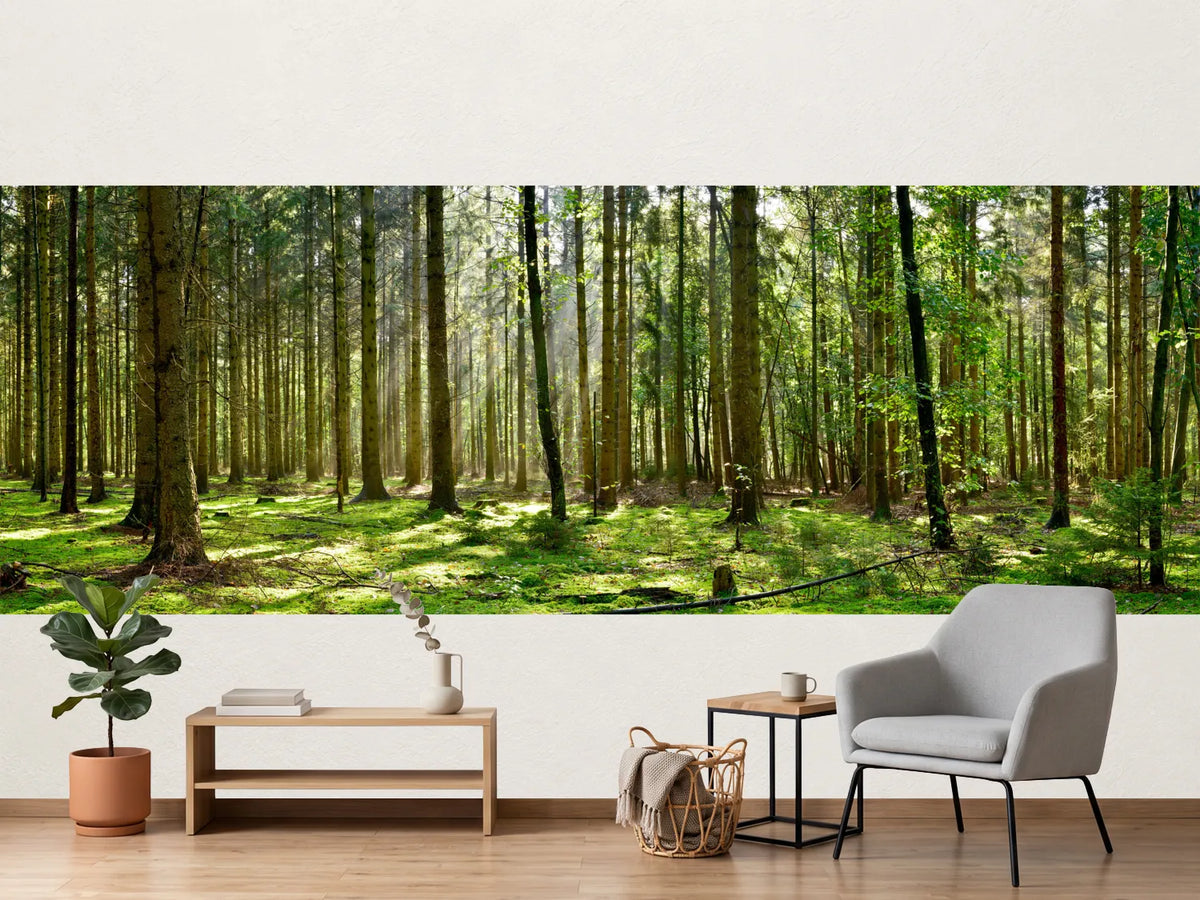 photo-wallpaper-beautiful-forest-with-moss-covered-soil-and-sunbeams-through-the-trees