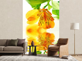 photo-wallpaper-flowing-orchid-flower