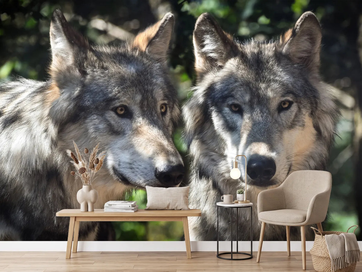 photo-wallpaper-2-wolves