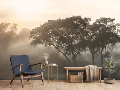photo-wallpaper-savana-sunrise-x
