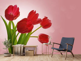 photo-wallpaper-red-tulips-bouquet